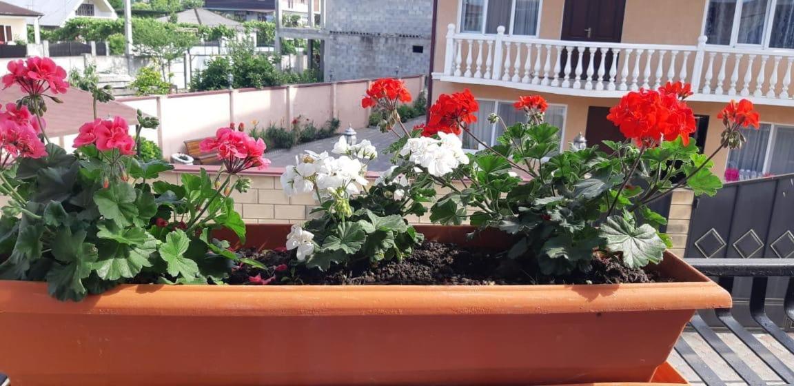 Гостевой Дом Анастасия Sukhumi Eksteriør billede